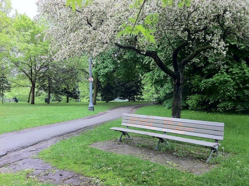 Trinity Bellwoods Park