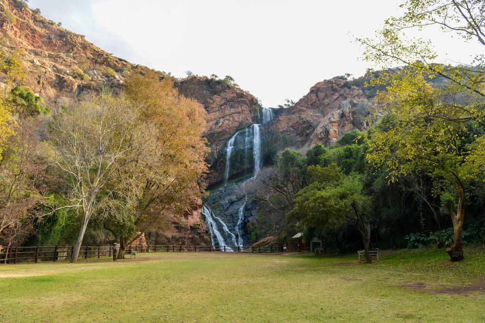 gardens to visit in johannesburg