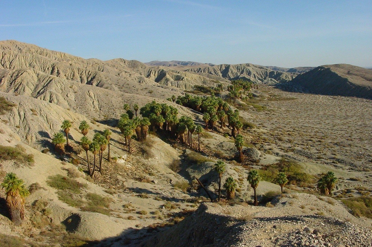 palm springs - palm desert