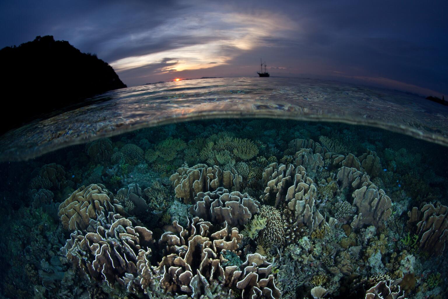 going on a diving trip with a liveaboard