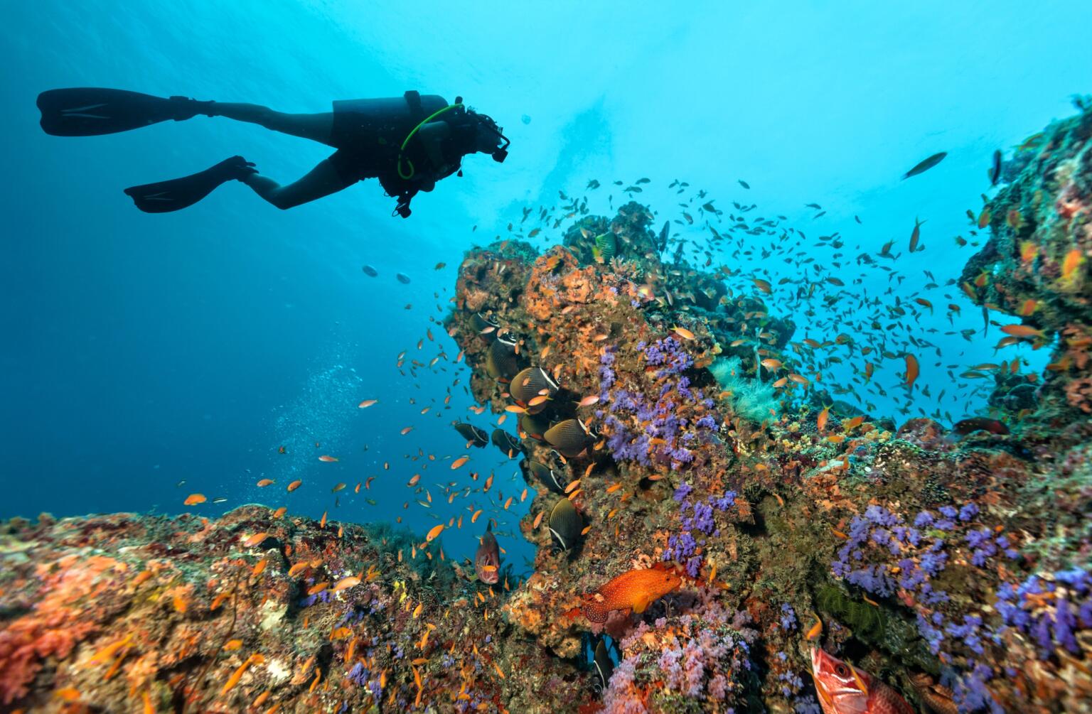 the best places to dive with a liveaboard