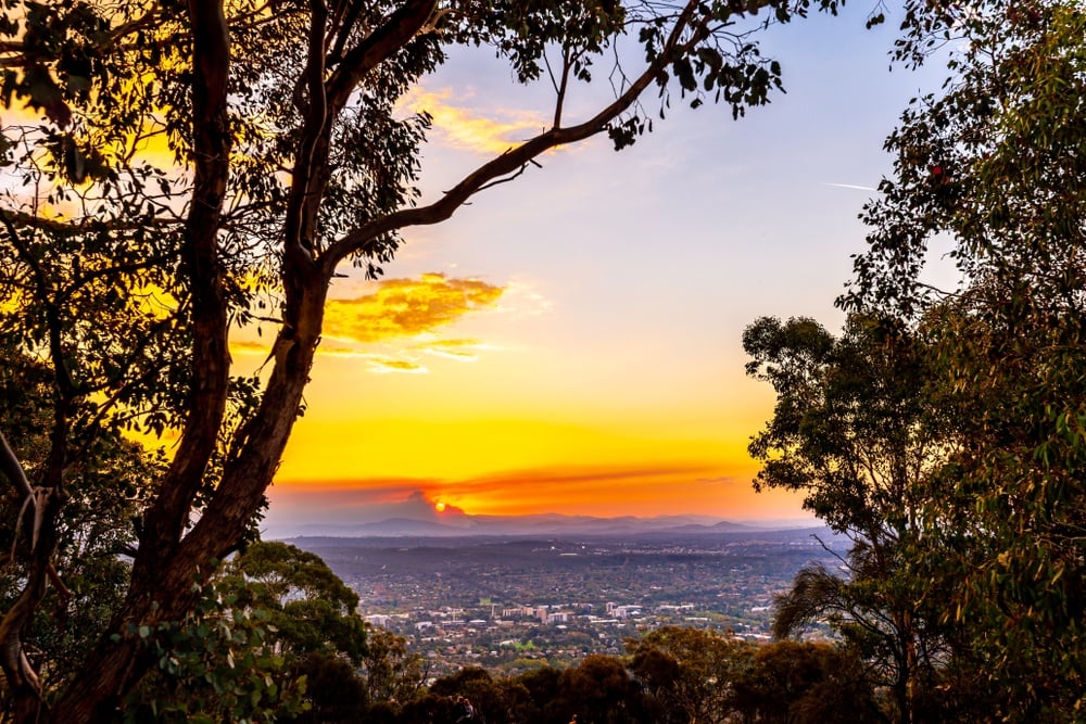 Mount Ainslie Lookout