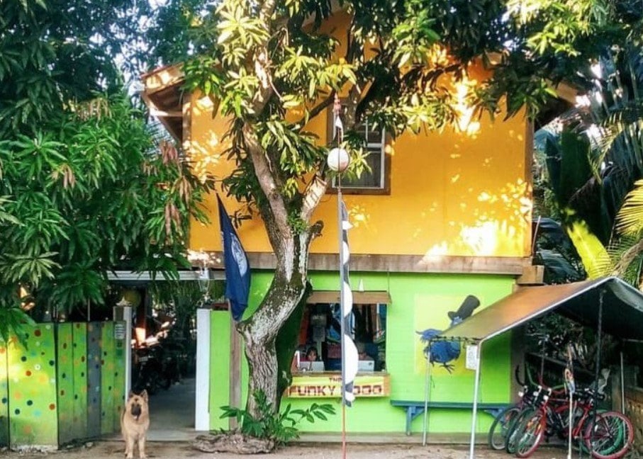 the best hostel in belize