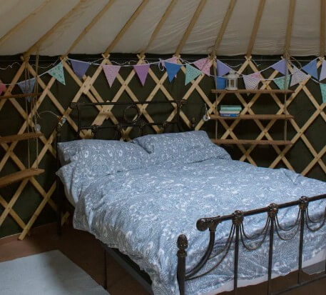 Oak Tree Yurt Ireland