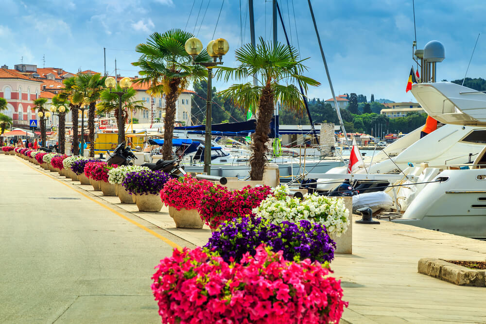 boats parked in a marina, Porec Rovinj