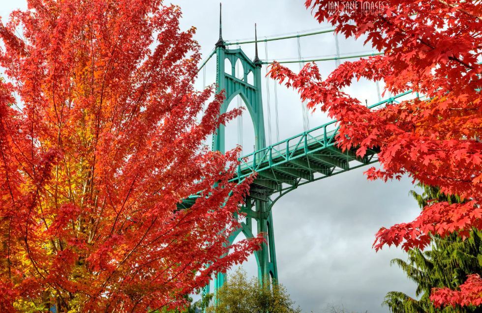 Very Best of Portland A Morning Tour