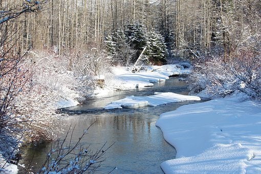 best hostel in whistler