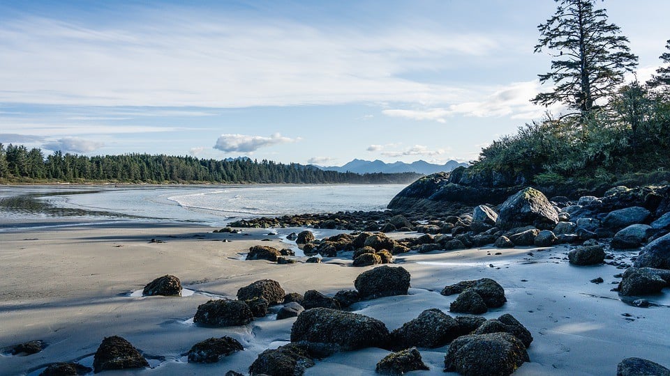 best hostels in tofino