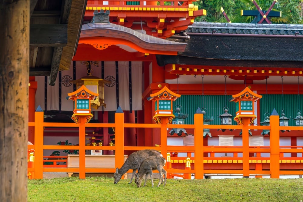 shutterstock - nara - downtown nara