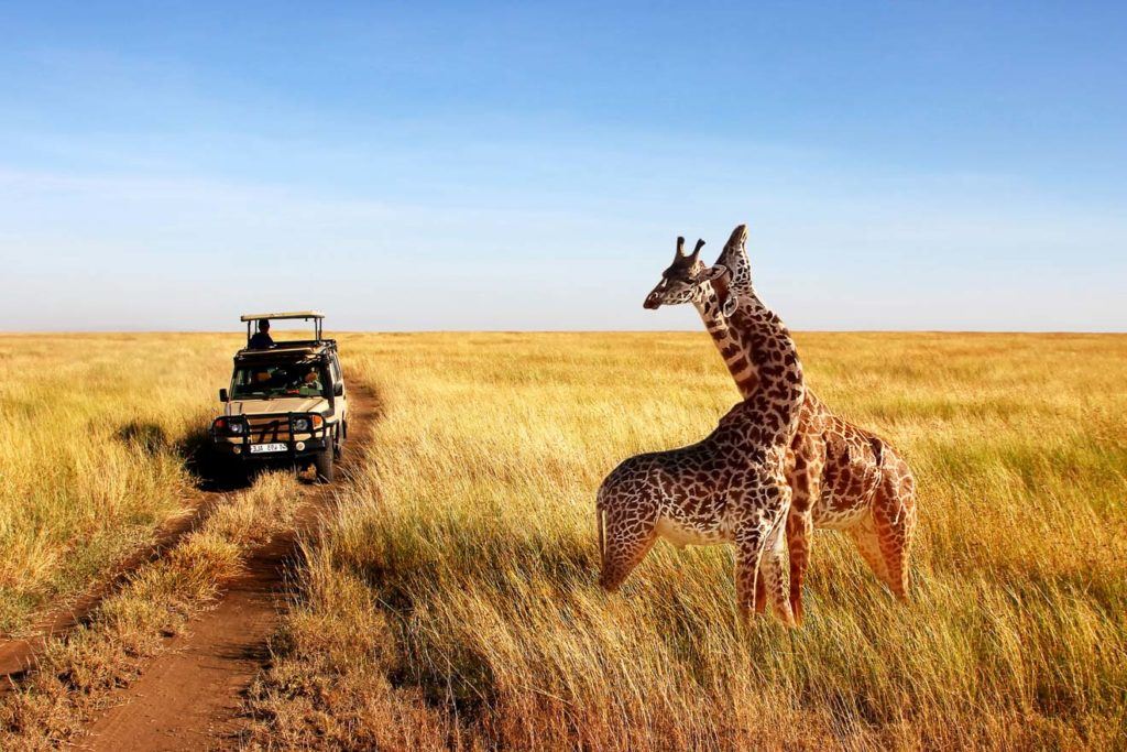 tourism attractions in tanzania