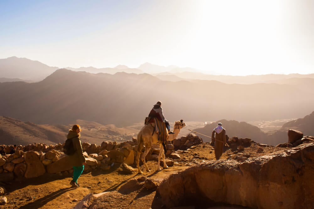 Camel tour in Sinai, Egypt, from Israel