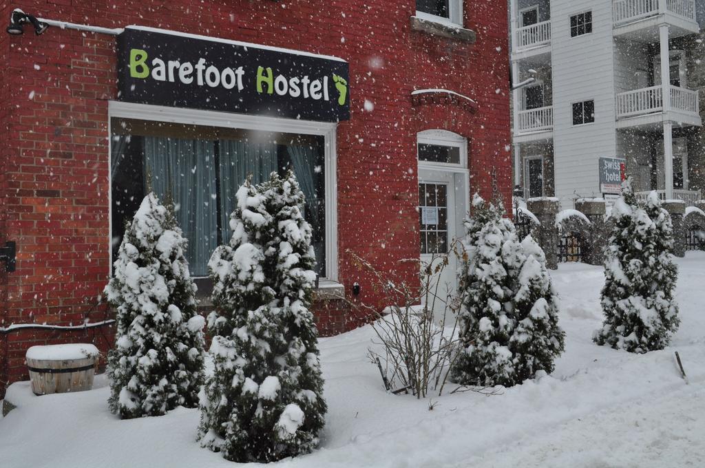 Barefoot hostel the best hostel in ottawa