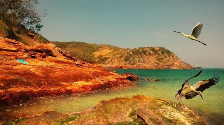 7 Best Hostels in Buzios