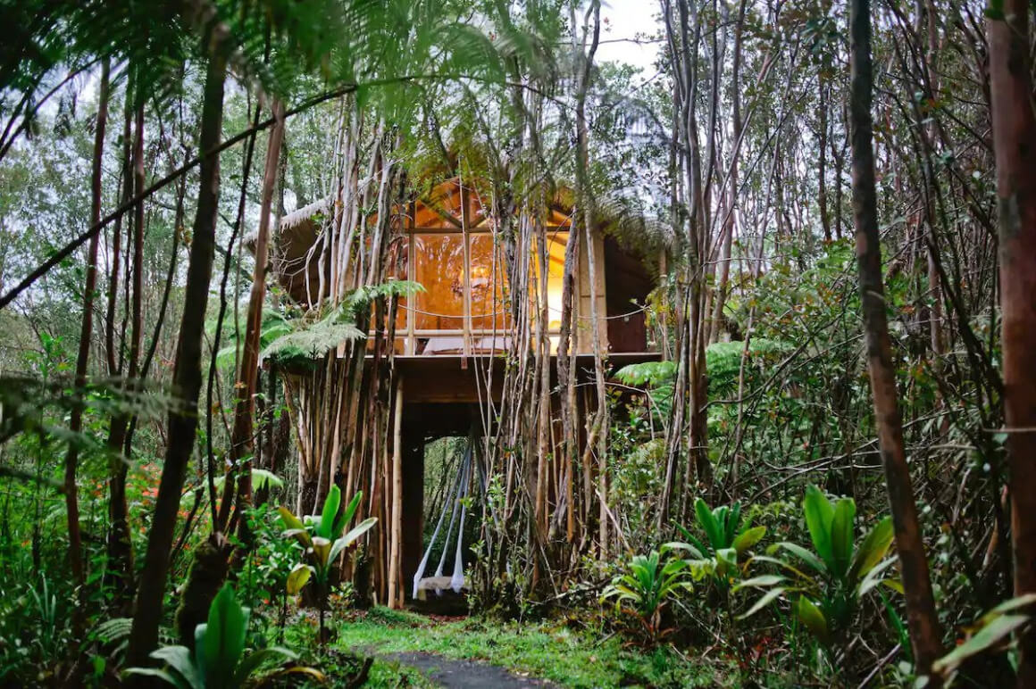 Dreamy Tropical Tree House