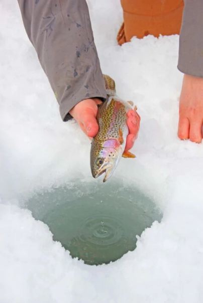 Ice Fishing With A Local Guide