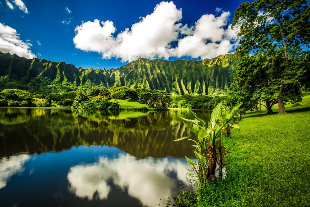 lush greenery and mountainside as seen in Kailua while staying in Oahu