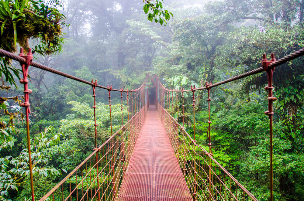 Coolest Place to Stay in Costa Rica, hanging bridge in monteverde cloud forest.