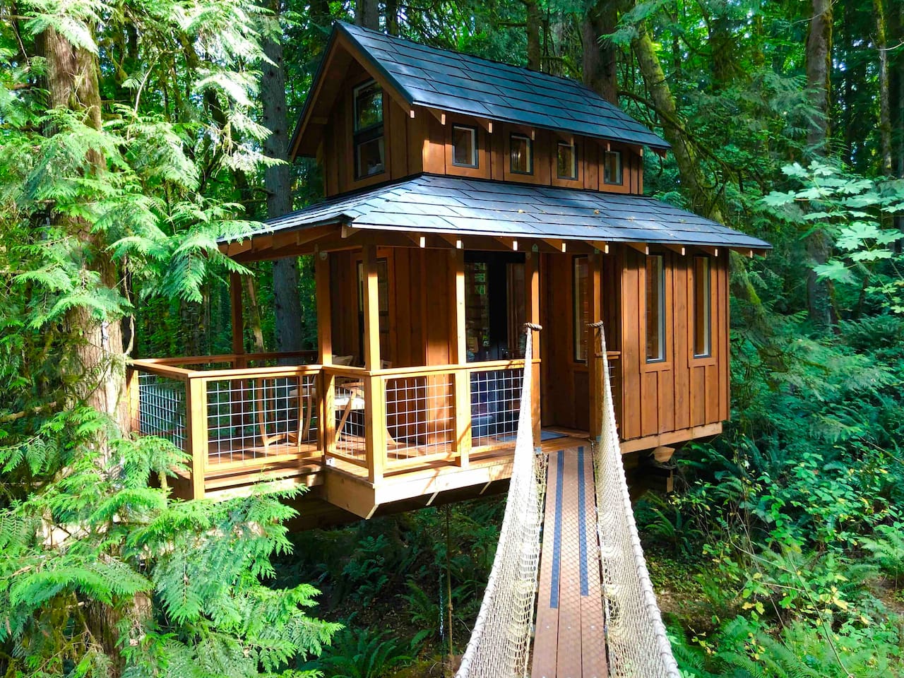 Marshall Park Treehouse