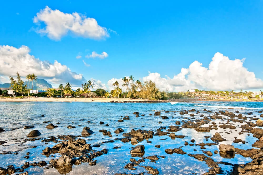 palm trees scatter the coastline in Poipu Kauai