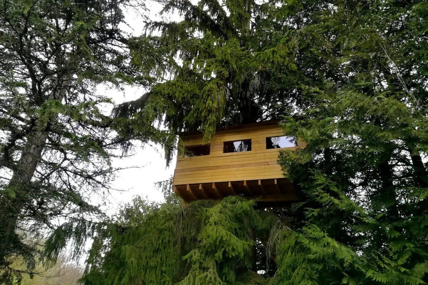 Rustic Woodland Treehouse