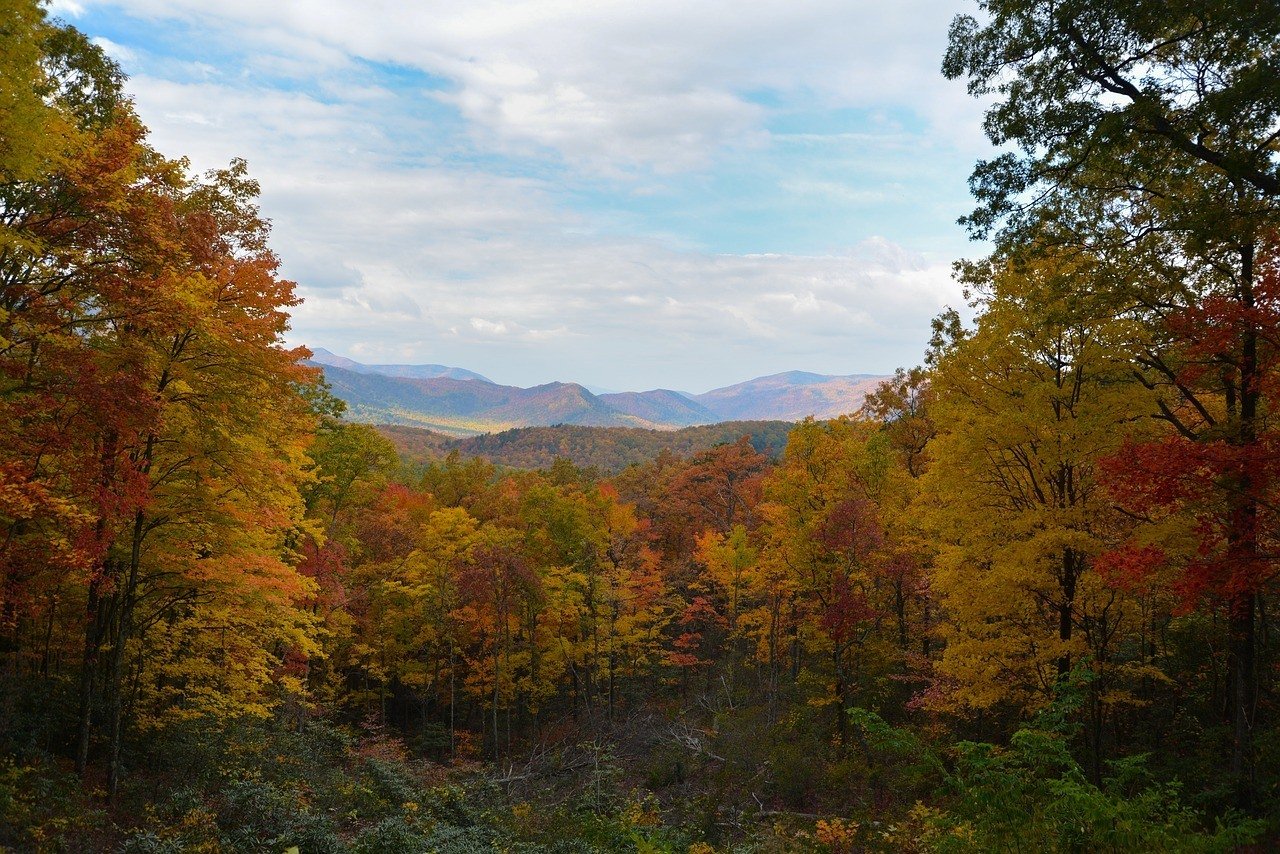 Staying in a Cabin in Tennessee