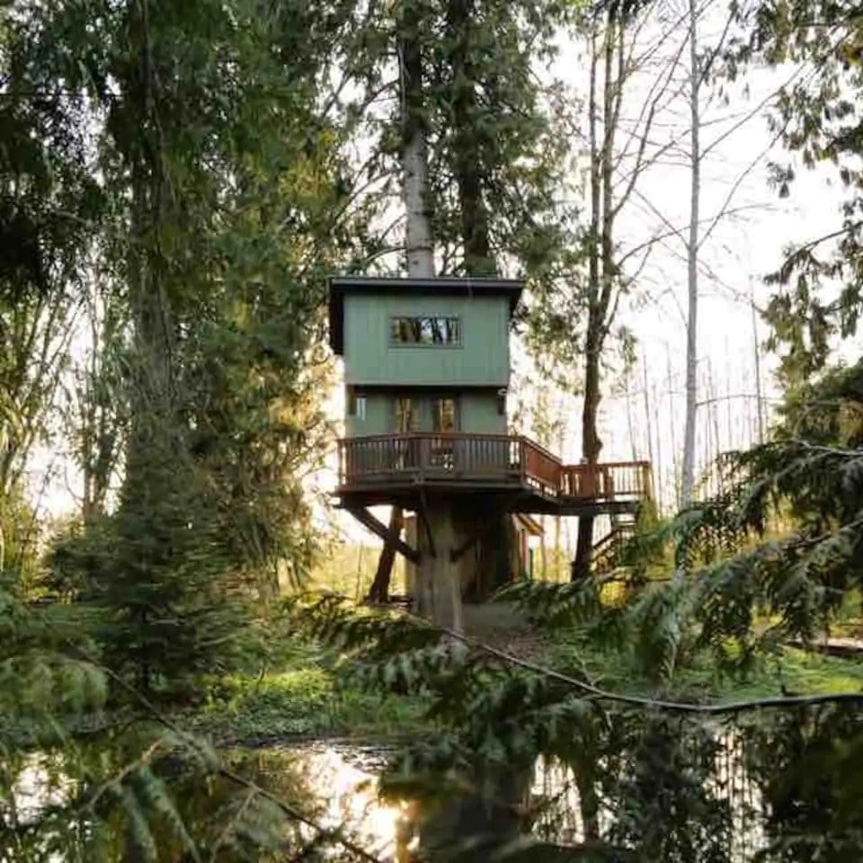 Treehouse with Panoramic Views