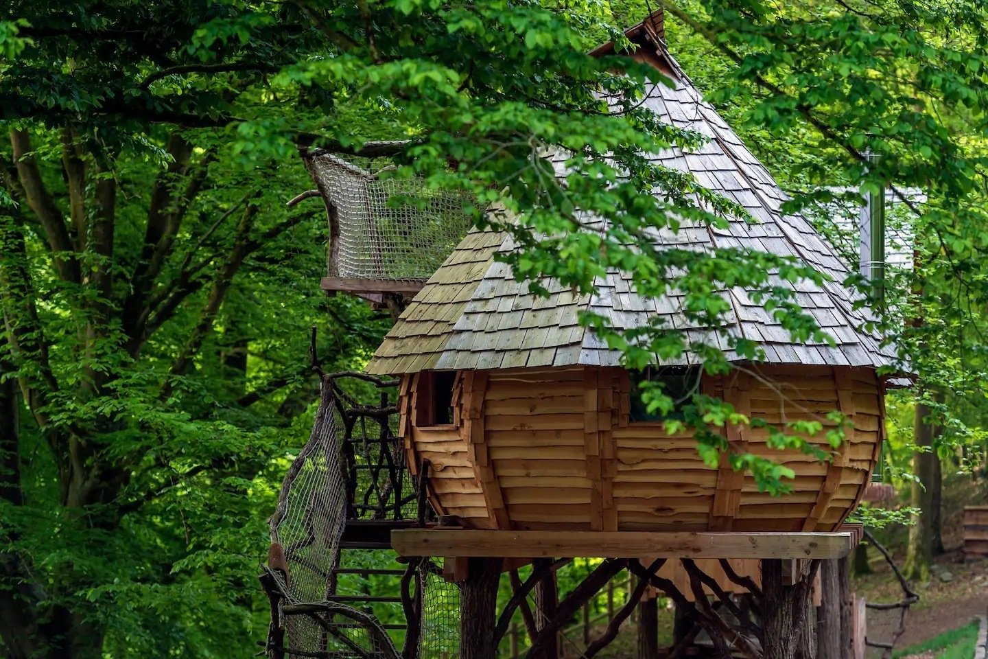 Treetop Cabin of Lalegende