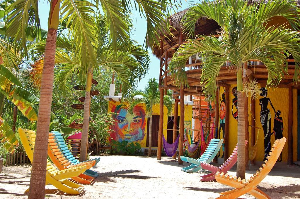 Tribu Hostel best hostel in Holbox