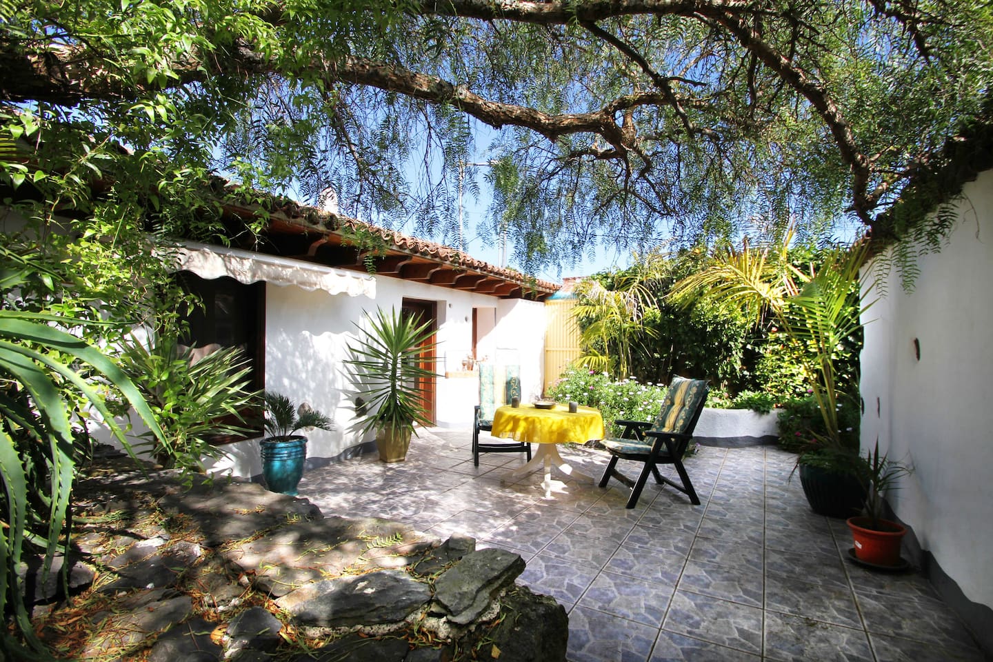 Outdoor garden and patio area full of trees and plants