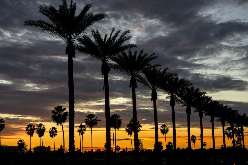 triângulo de platina, Anaheim 