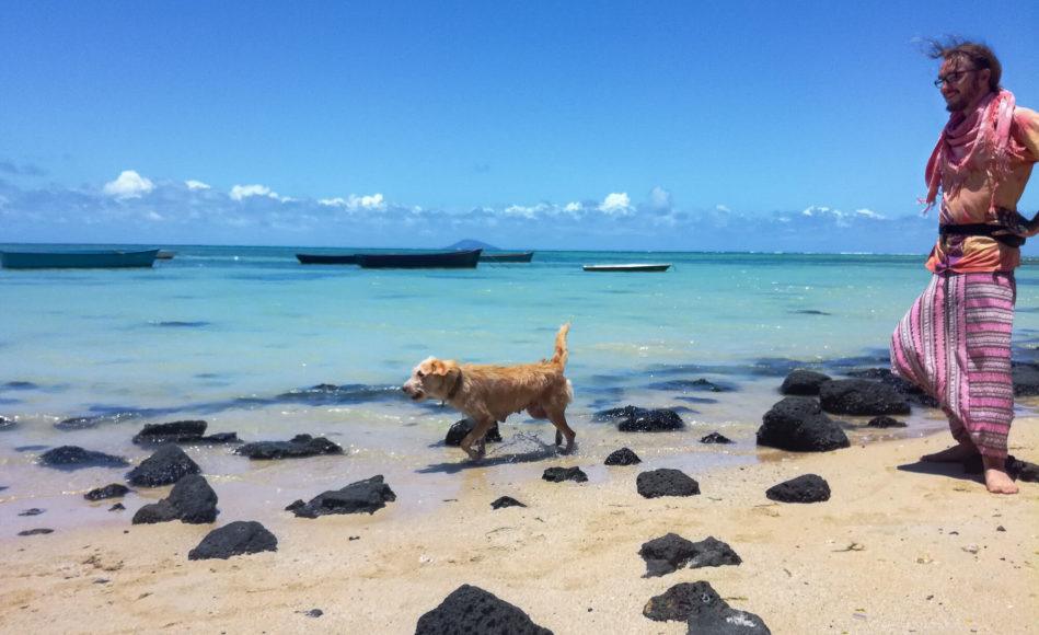 Backpacking Mauritius (IN-DEPTH 2023 Travel Guide) - Beaches Mauritius 02 Beach Dog 949x580