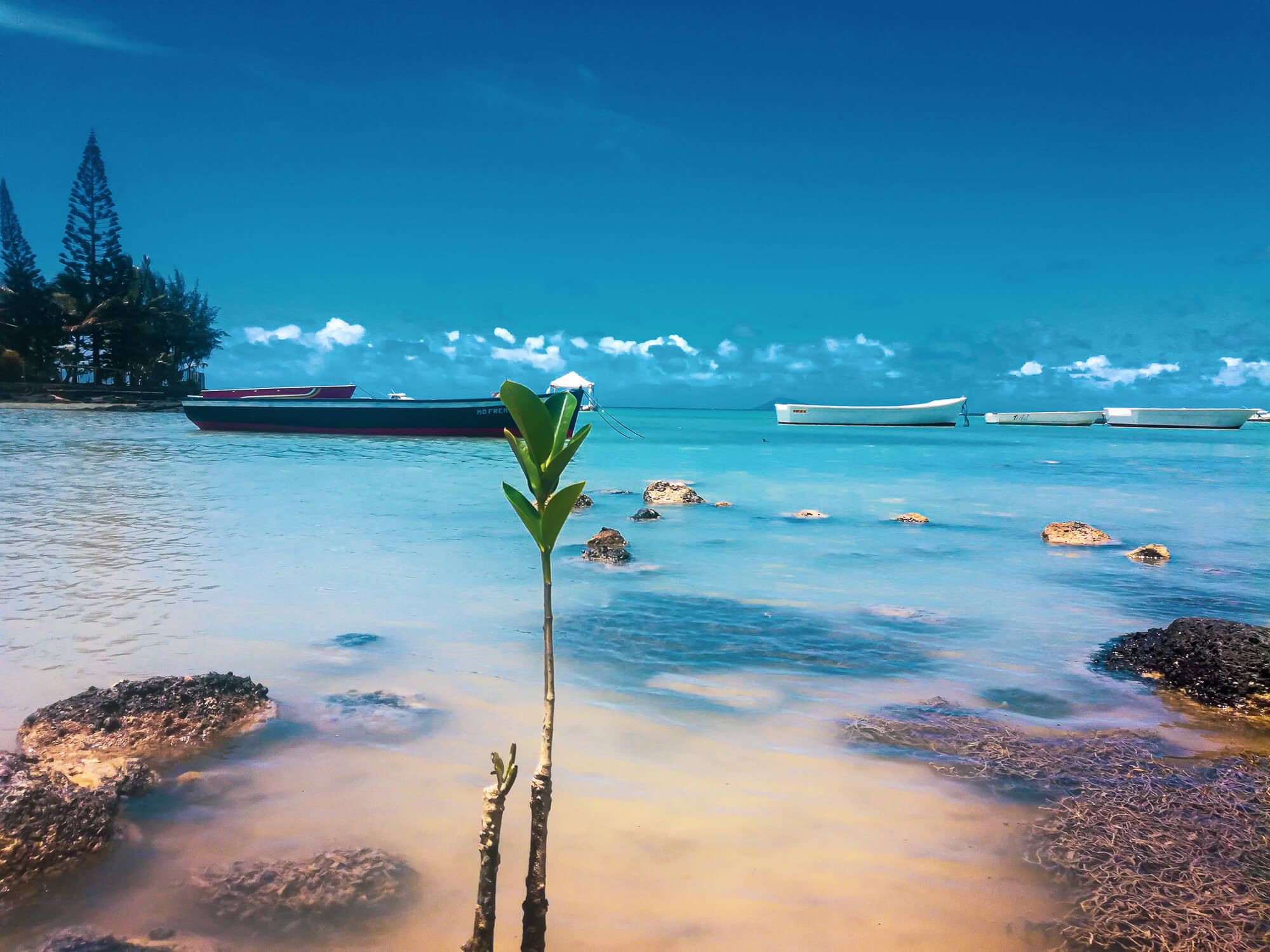 Graund Gaube waters with mangrove - best beach in north Mauritius