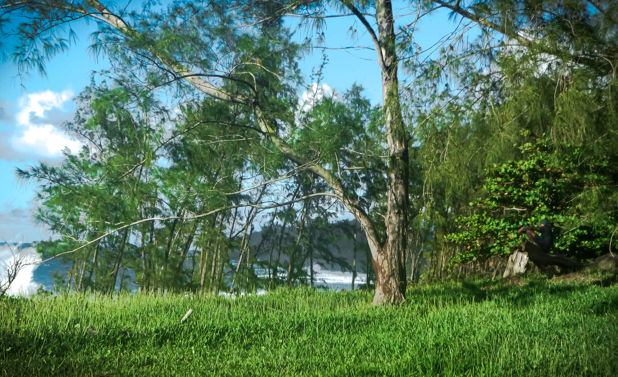 The forest and ocean on Mauritius's best coast - the south