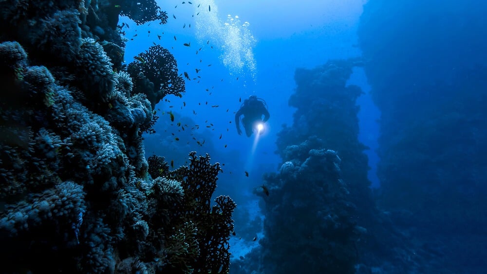 Person diving at the Cathedral dive site in Mauritius