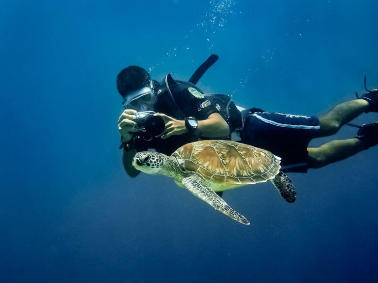 Diving in Mauritius Guide: The Best Scuba Sites!