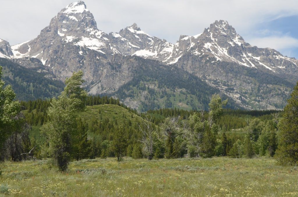 Grand Teton National Park