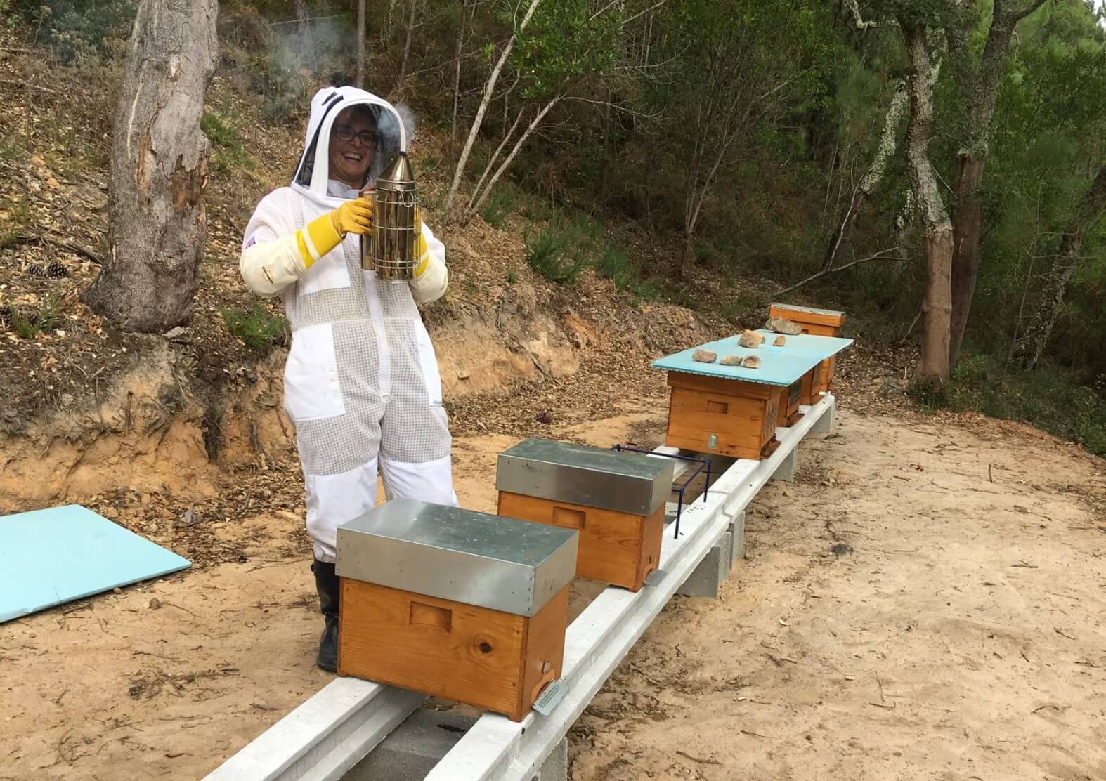 Meet Bees in Lisbon (with Lunch)