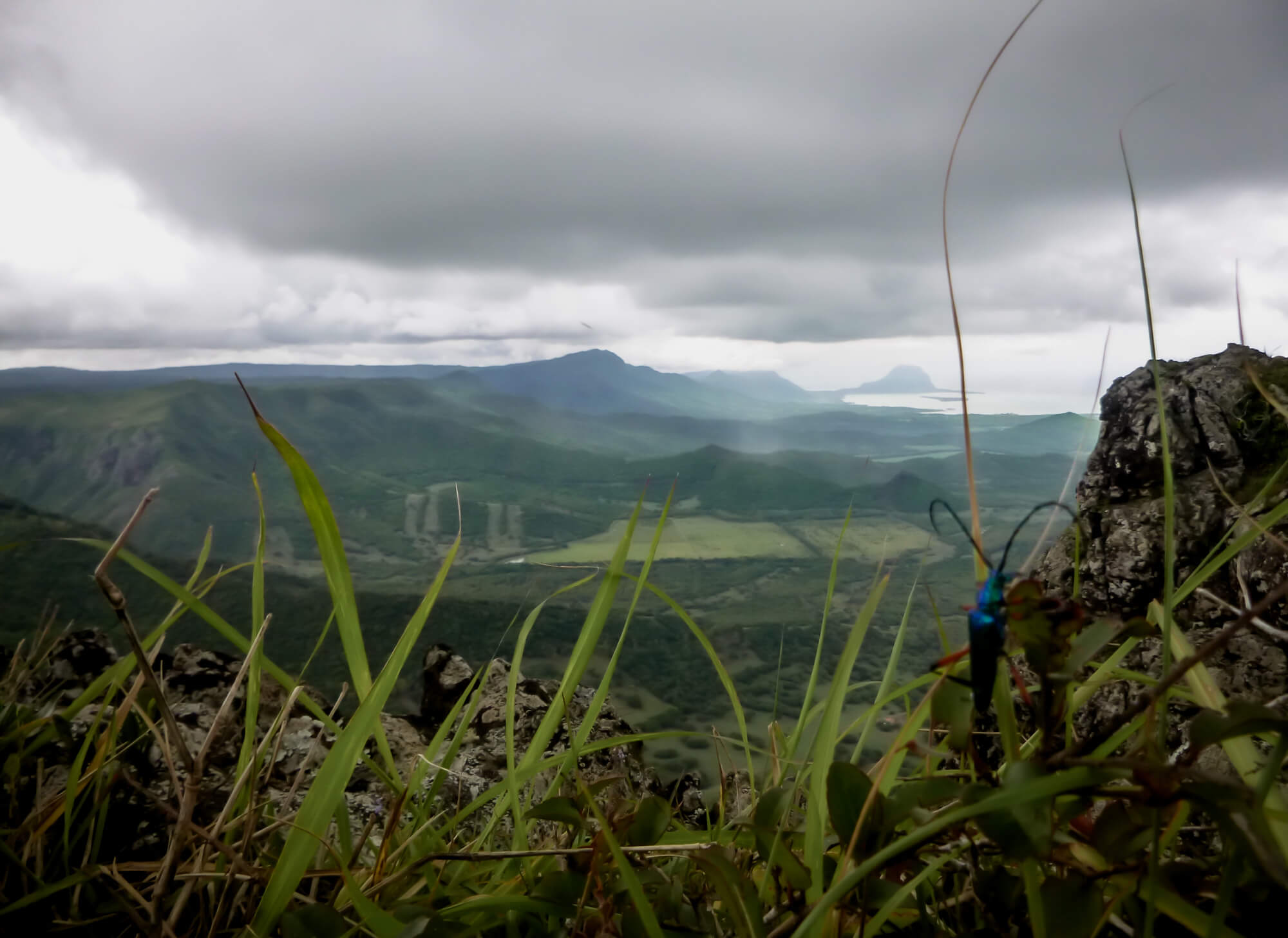 Viewpoint from Trois Mamelle while hiking in Mauritius
