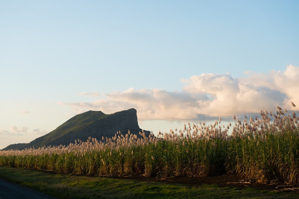 Corp de Garde - one of the best hikes in Mauritius