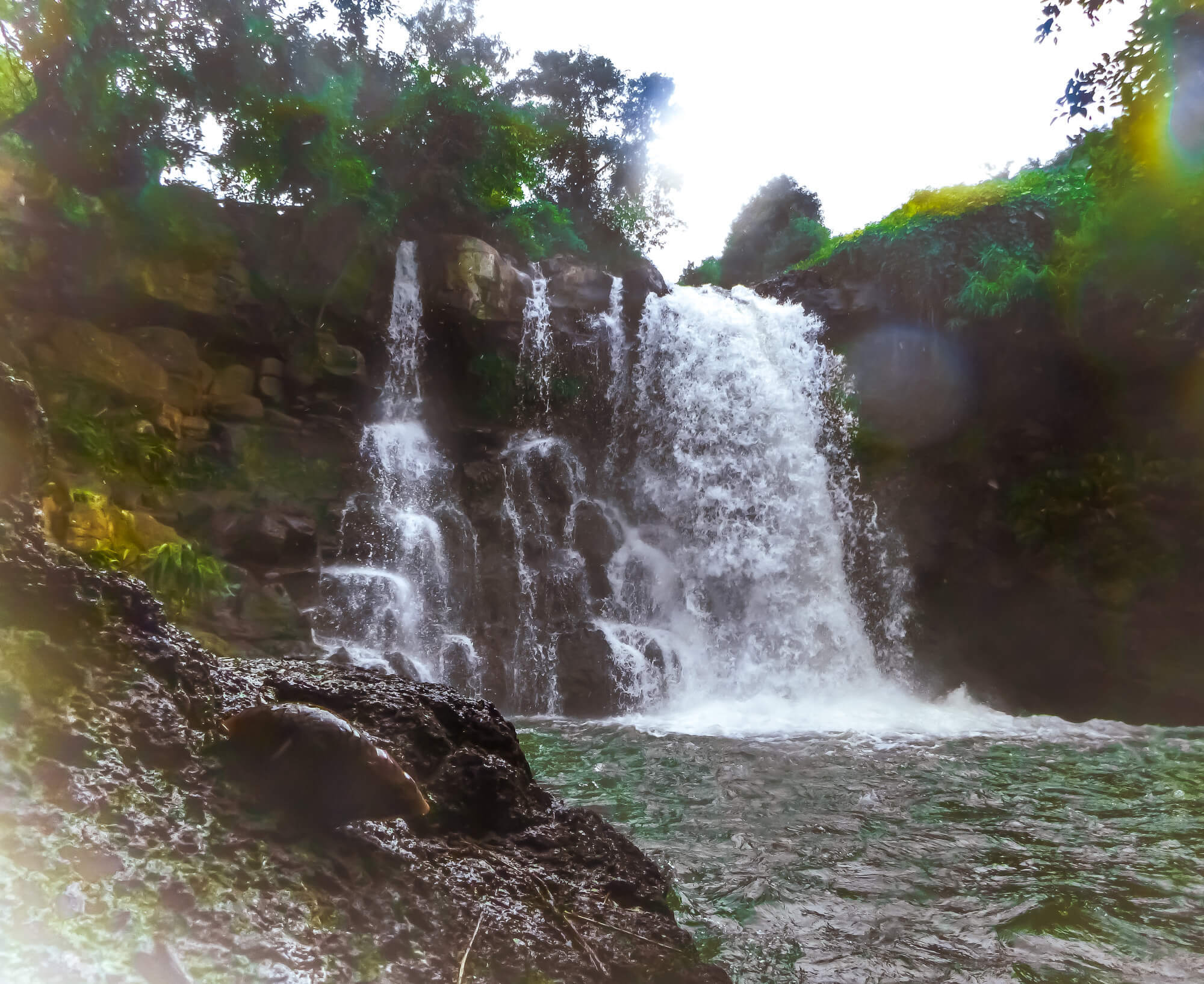 A secret waterfall - private land nature in Mauritius