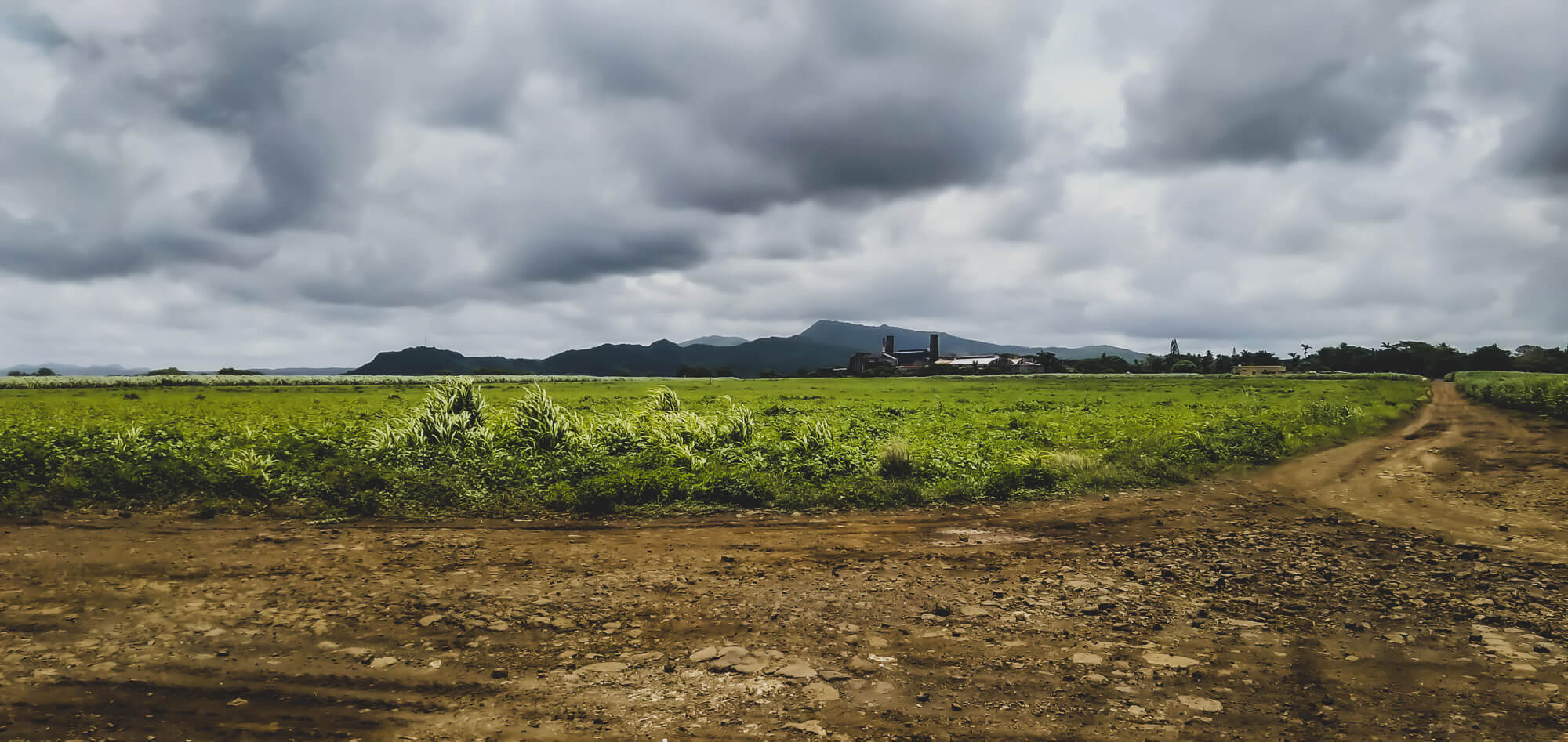 Stormy clouds on a hiking trail in Mauritius