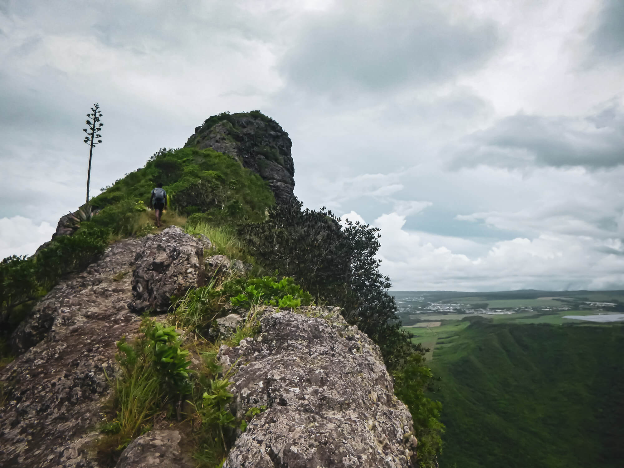 Hiking up Trois Mamelle mountain in Mauritius