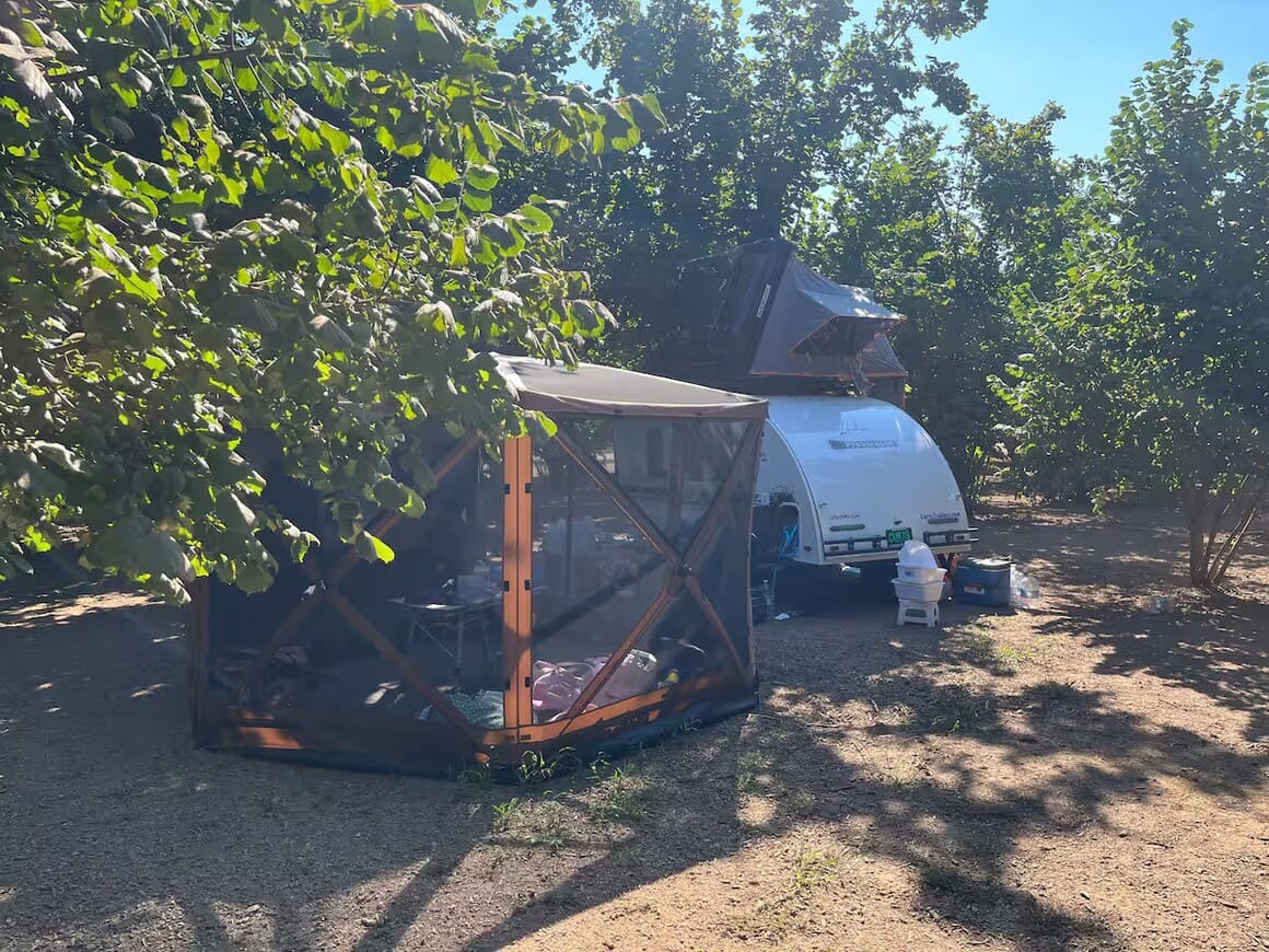 Tranquil Orchard and Wine Tours