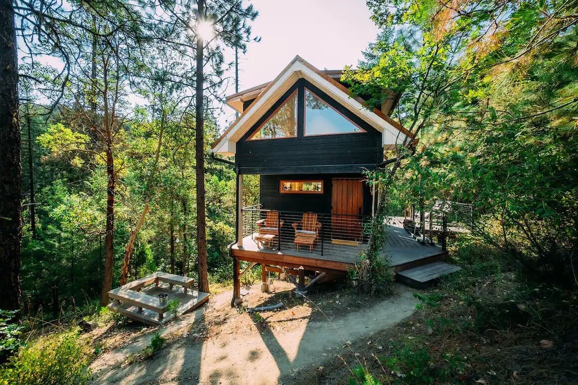 Tree Top Studio
