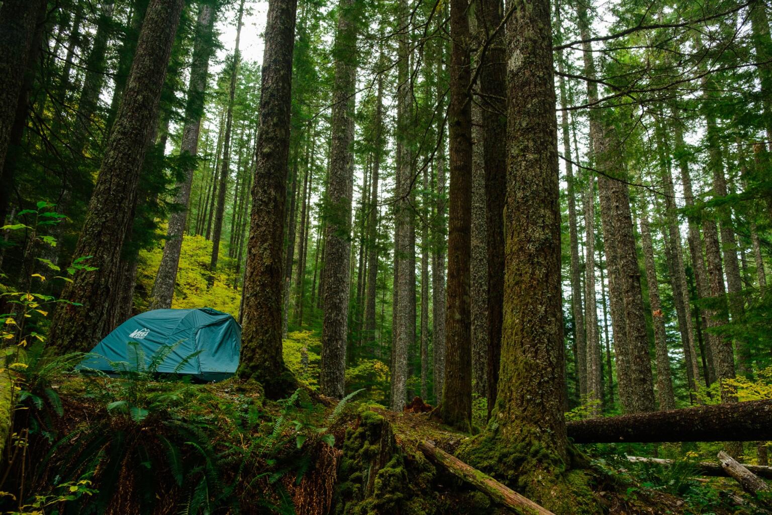 rei half dome tent