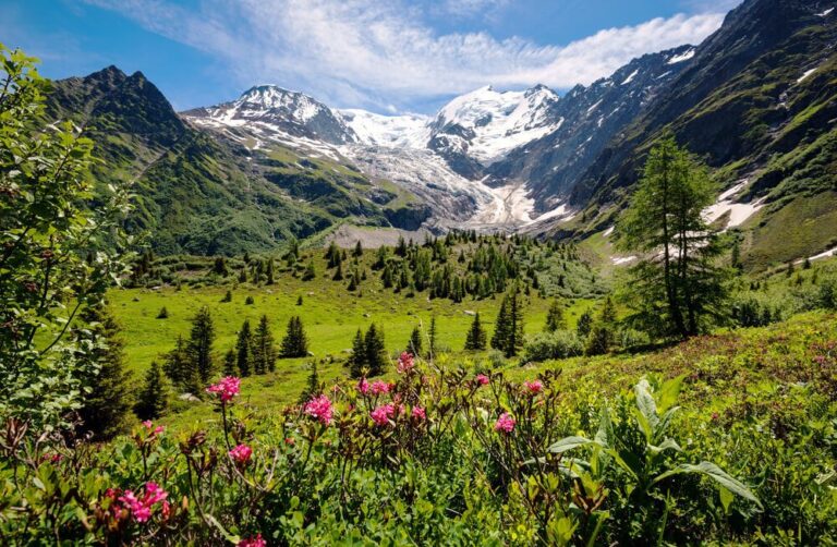 10 BEST Yoga Retreats in France
