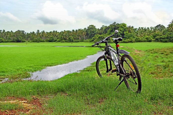Is Goa Expensive Tips For Visiting In 2024 