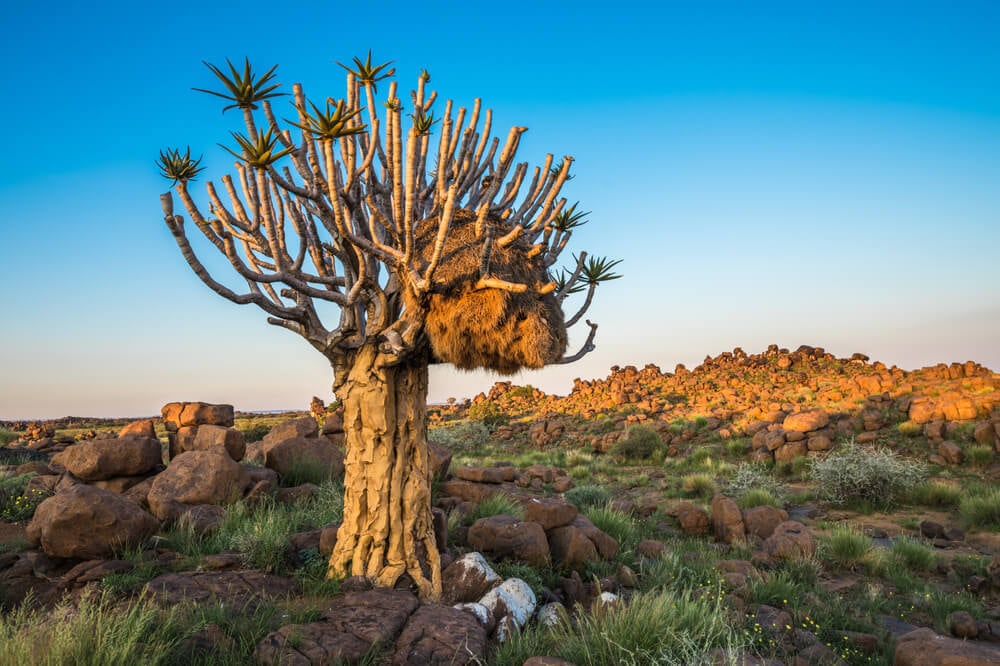 One of the Most Unique Places to Stay in Namibia