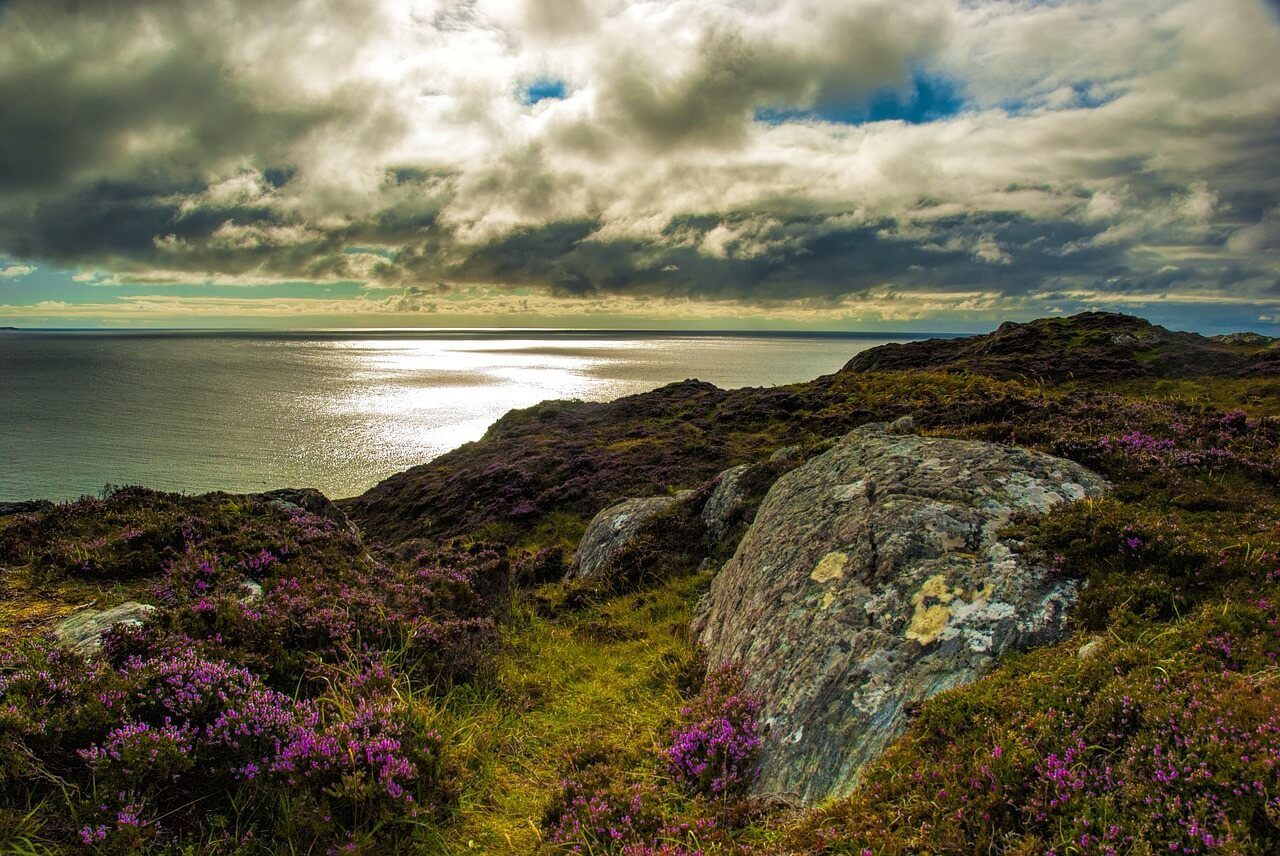 A view of the ocean from a rocky cliff top with purple flowers in the foreground in Scotland
