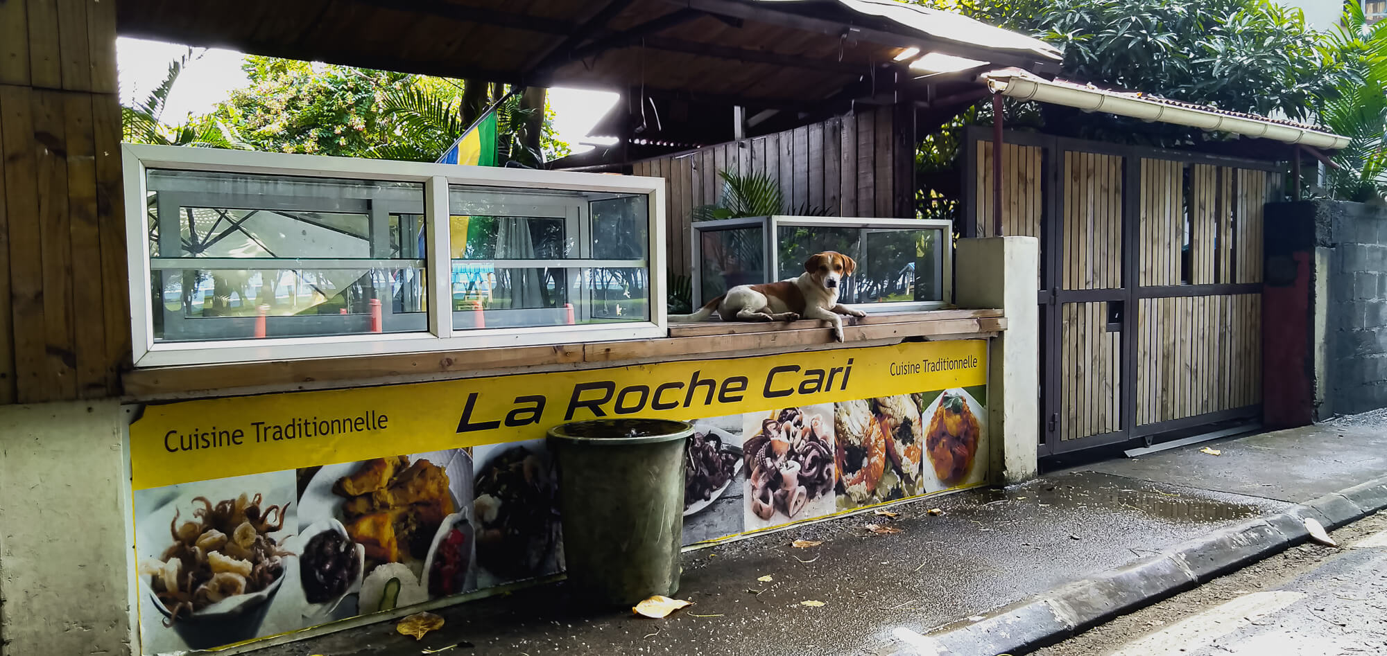 A dog chilling on a street food stall in Mauritius